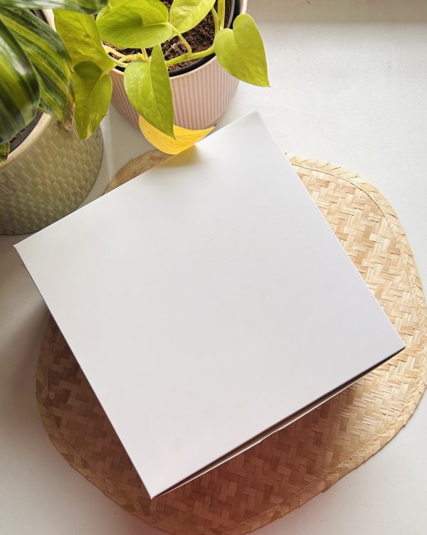 10*10*5 Cake box